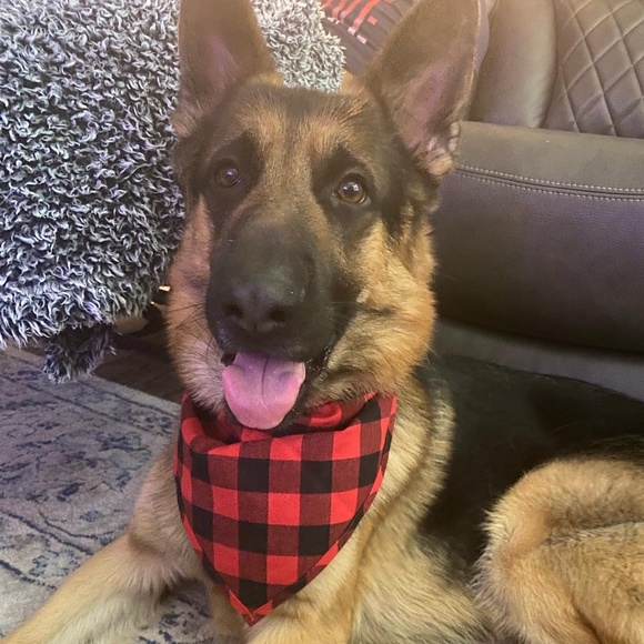 Meet your Posher, Michelle - Picture 2 of 2